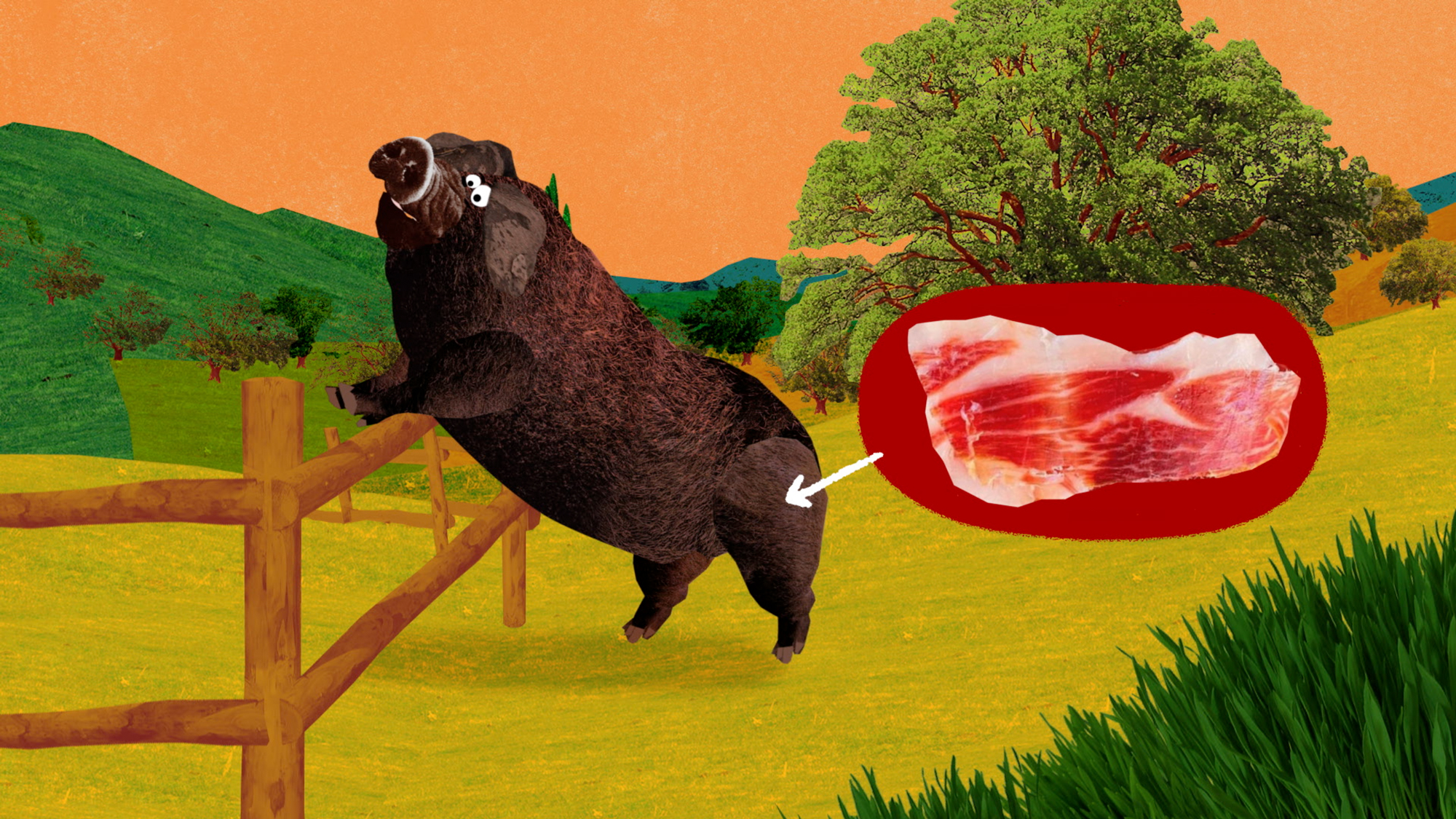 Le jambon ibérique